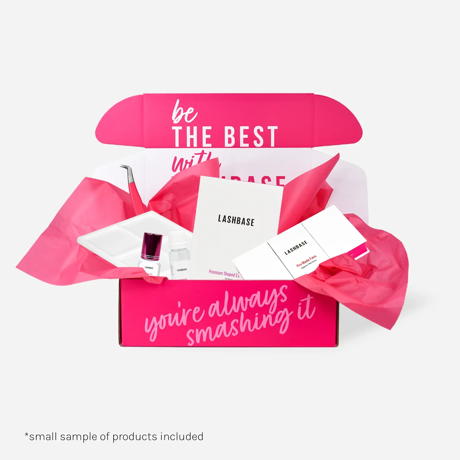 Pro Made Eyelash Extension Kit